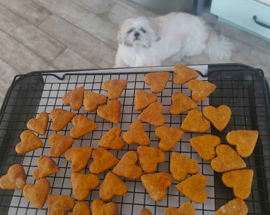 חטיפי בריאות לכלבים בנינג'ה